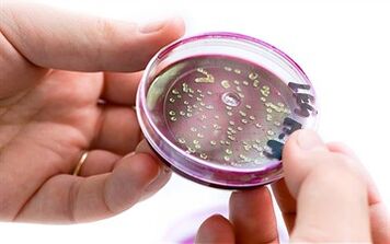 Bactérias na secreção da próstata